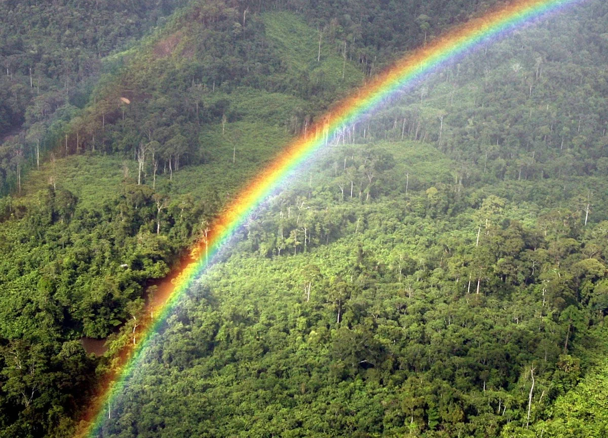 Singapore to Launch Test Bed for Trading Carbon Offsets