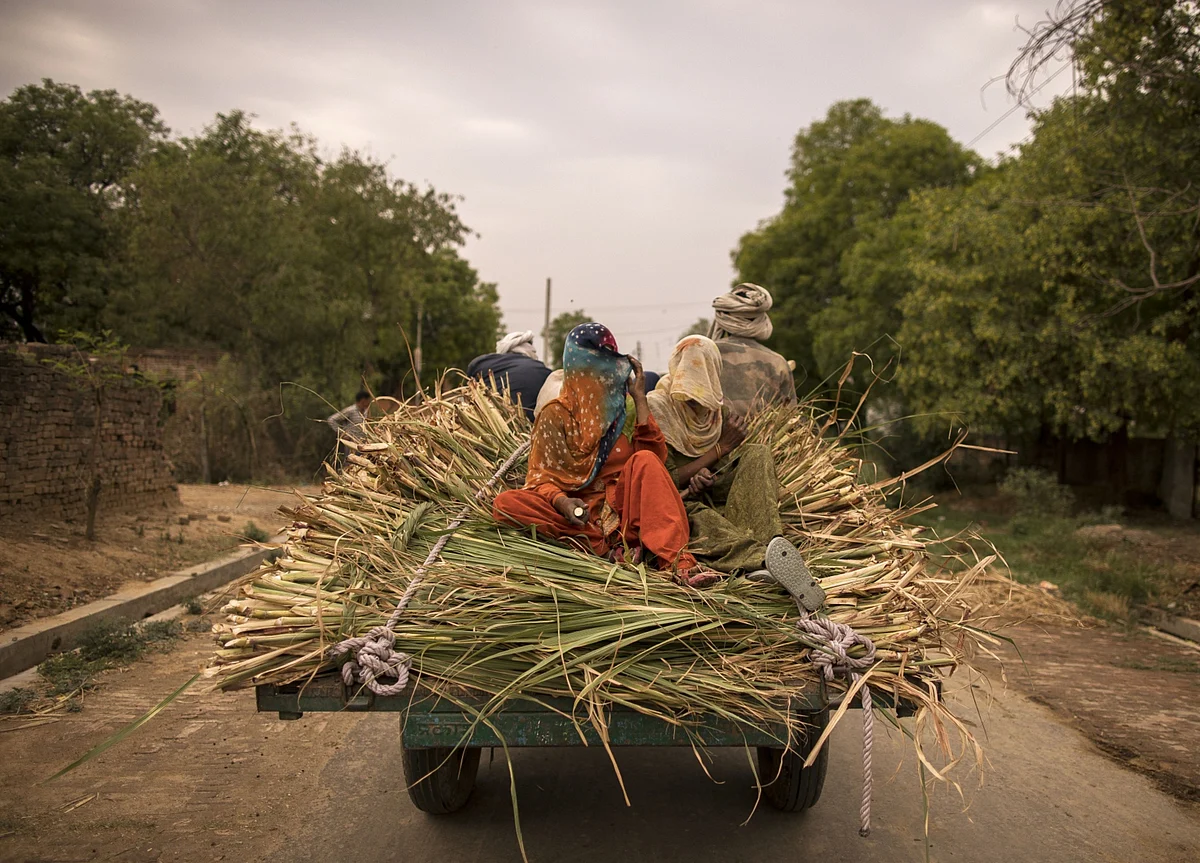 India Pandemic Worsens One of the World’s Worst Gender Gaps
