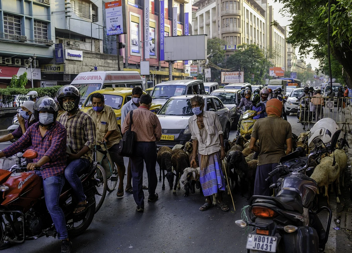 EU Seeks Bans on India Travel; WHO Overhaul Urged: Virus Update