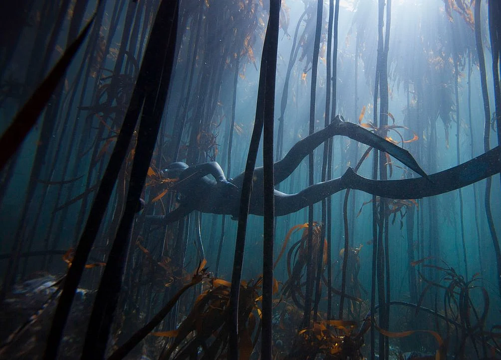 Explore the New Seven Wonders of the World