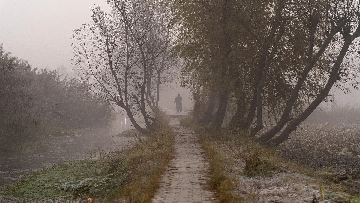 <div class="paragraphs"><p>A pedestrian walks along a path next to a causeway in Srinagar. (Photographer: Sumit Dayal/Bloomberg)</p></div>