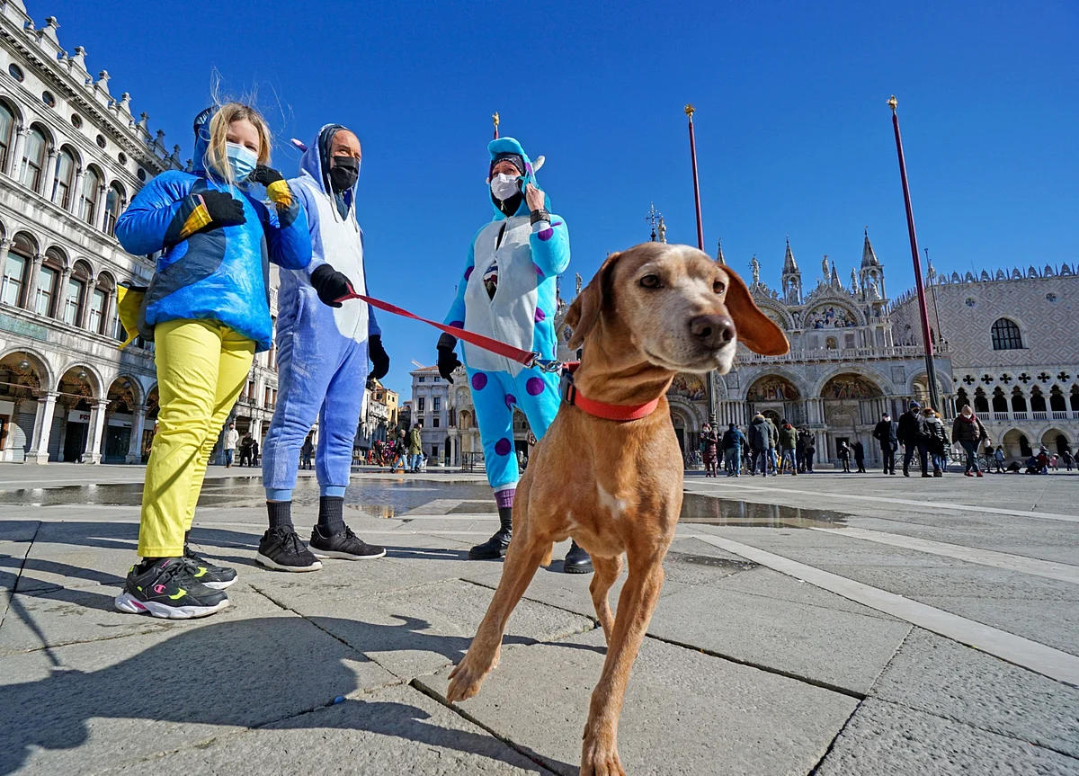 Silicon Valley Wants Dogs to Live Longer So Humans Can, Too