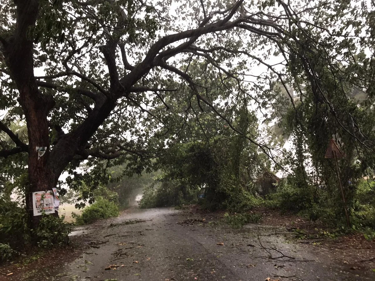 India’s West Coast Braces for Cyclone Tauktae Amid Virus Woes