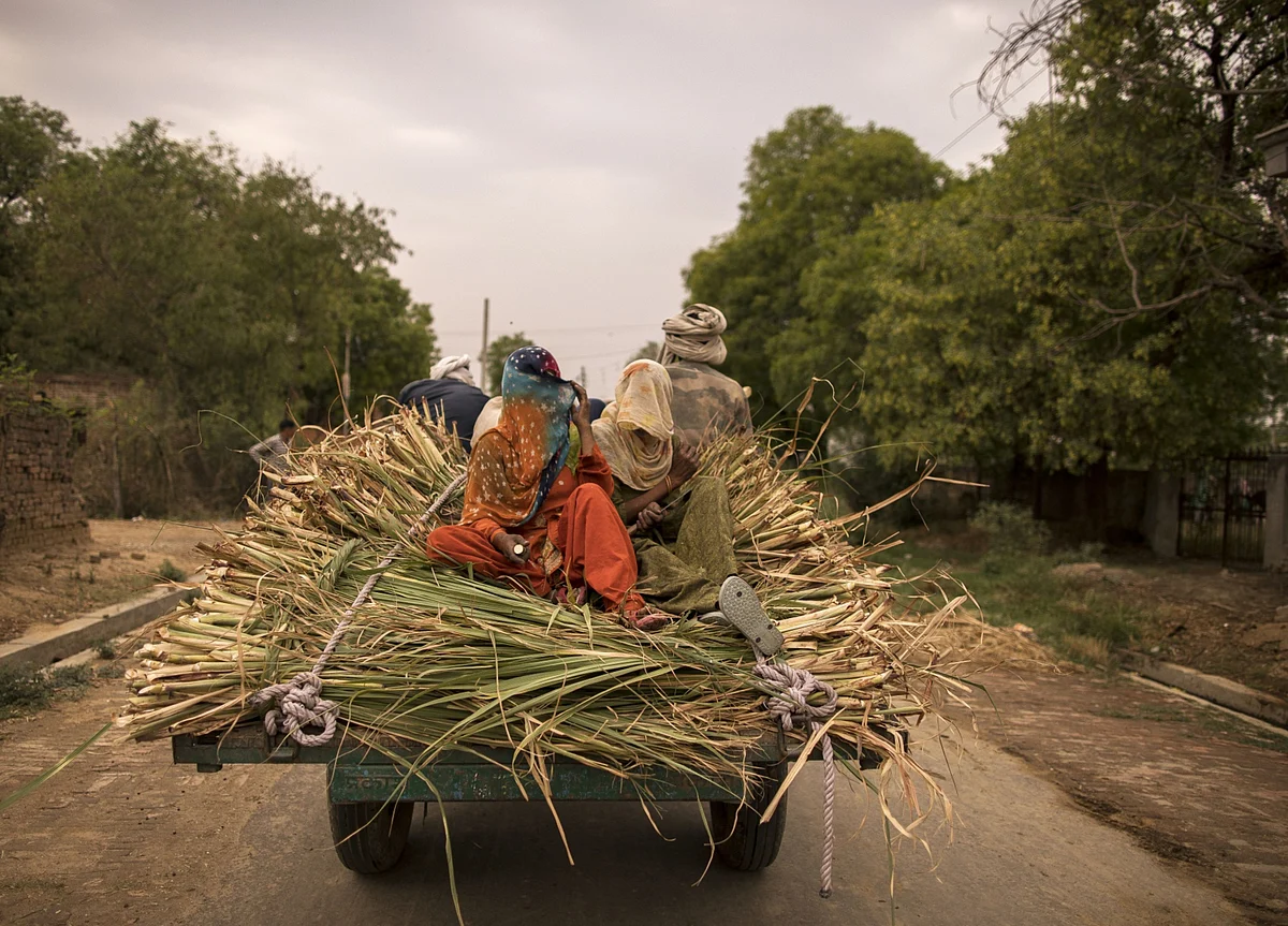 Rural Stocks Struggle on Covid, Rain Woe in India Hinterland