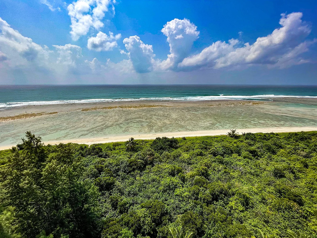 <div class="paragraphs"><p>The Andaman and Nicobar islands host among the richest tropical forests in India. (Photograph: Adhith Swaminathan, Via Neha Sinha)</p></div>