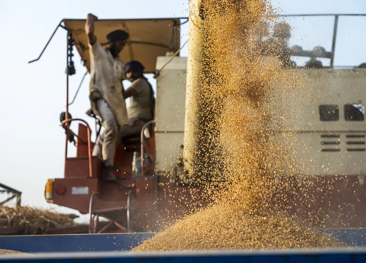 World Food Import Bill Set to Reach Record Amid Soaring Costs