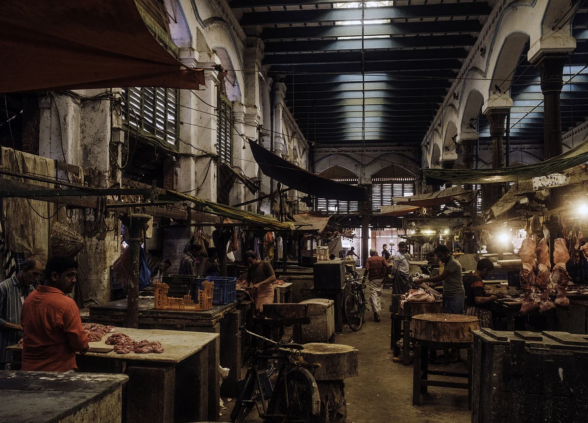 Indian Economy Takes a Breather in May Before Gaining Momentum