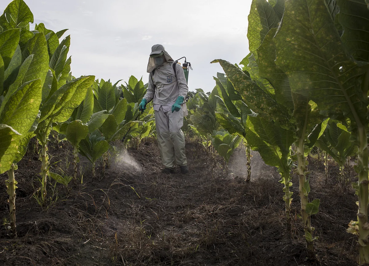India Pesticides IPO Subscribed 29.04 Times On Day 3