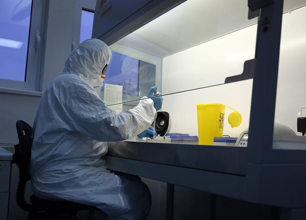 What the World Wants China to Disclose in Wuhan Lab Leak Probe