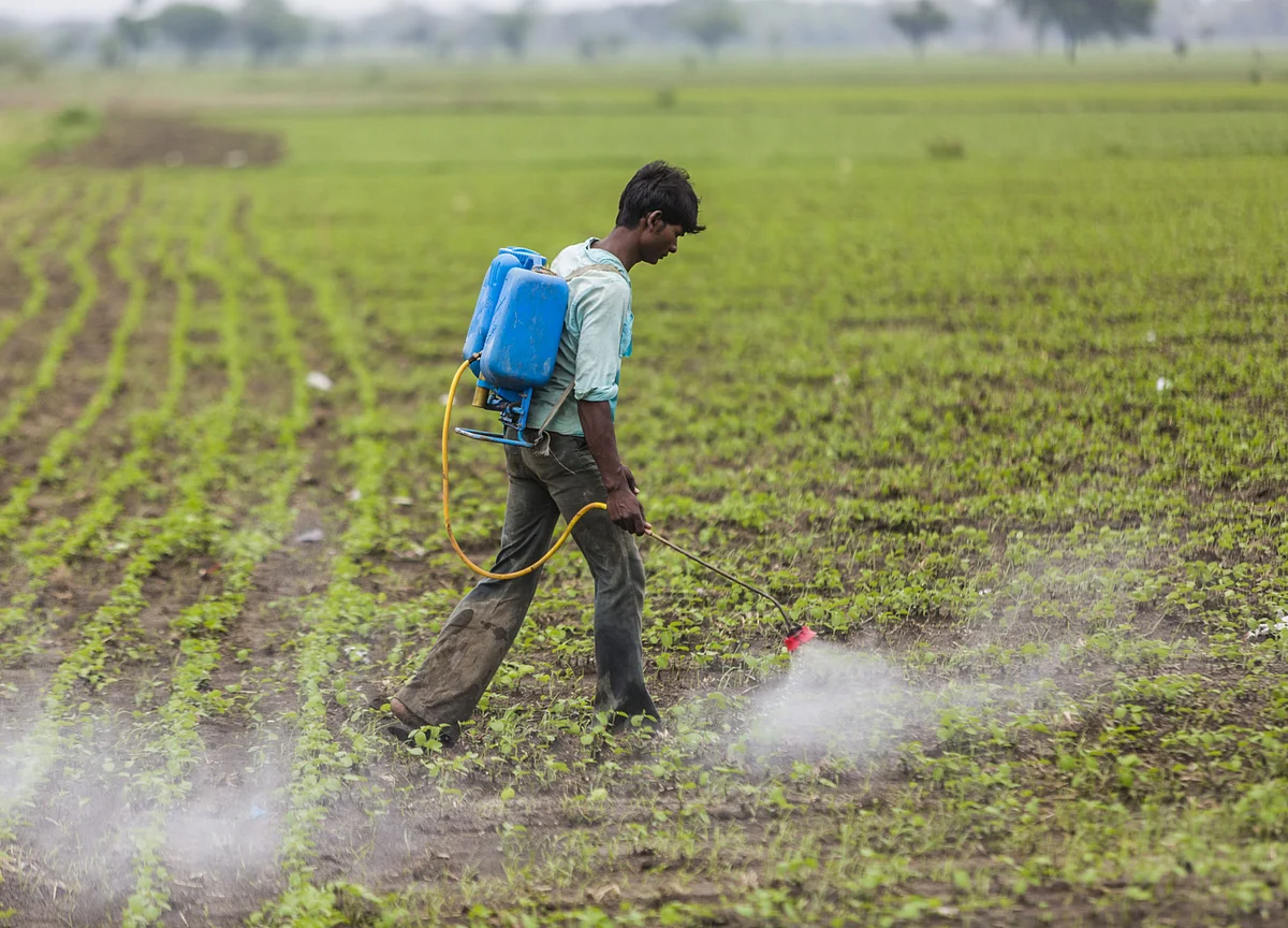 Sumitomo Chemical India Shares Jump To A Record As Analysts Stay Bullish After Q4