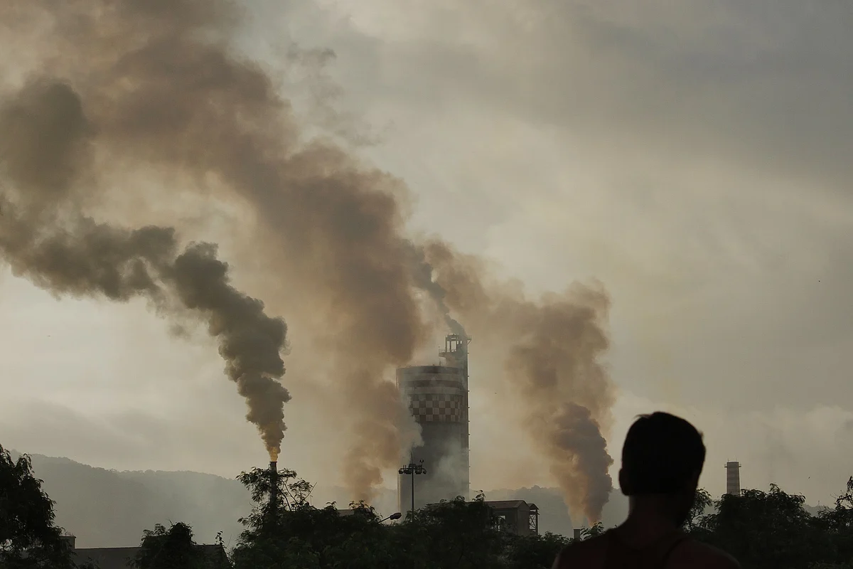 Madras High Court Temporarily Closes Backdoor Entry For Environment Law Violators