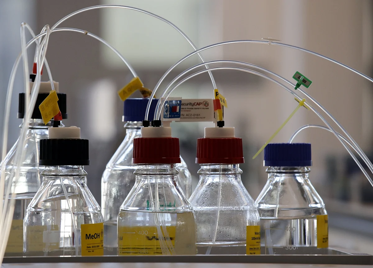 Tatva Chintan Pharma Chem IPO: All You Need To Know