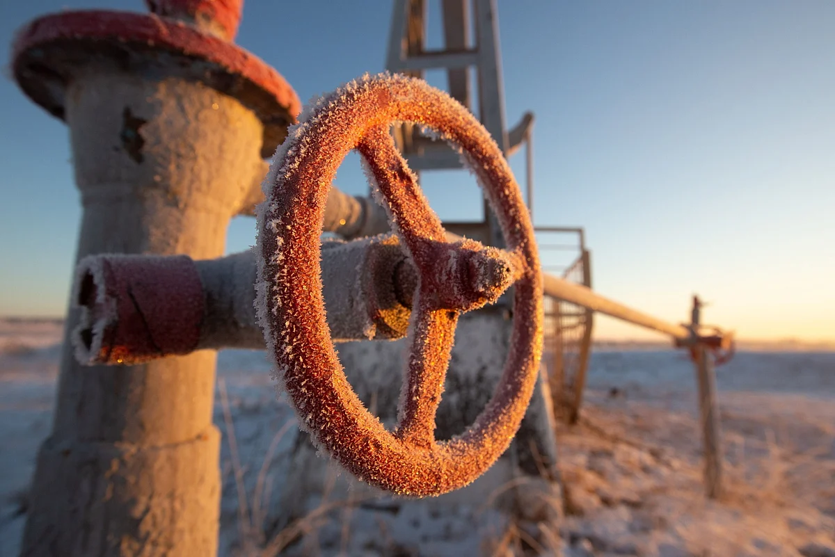 Oil Leads Market Plunge as Virus Rattles Faith in Recovery