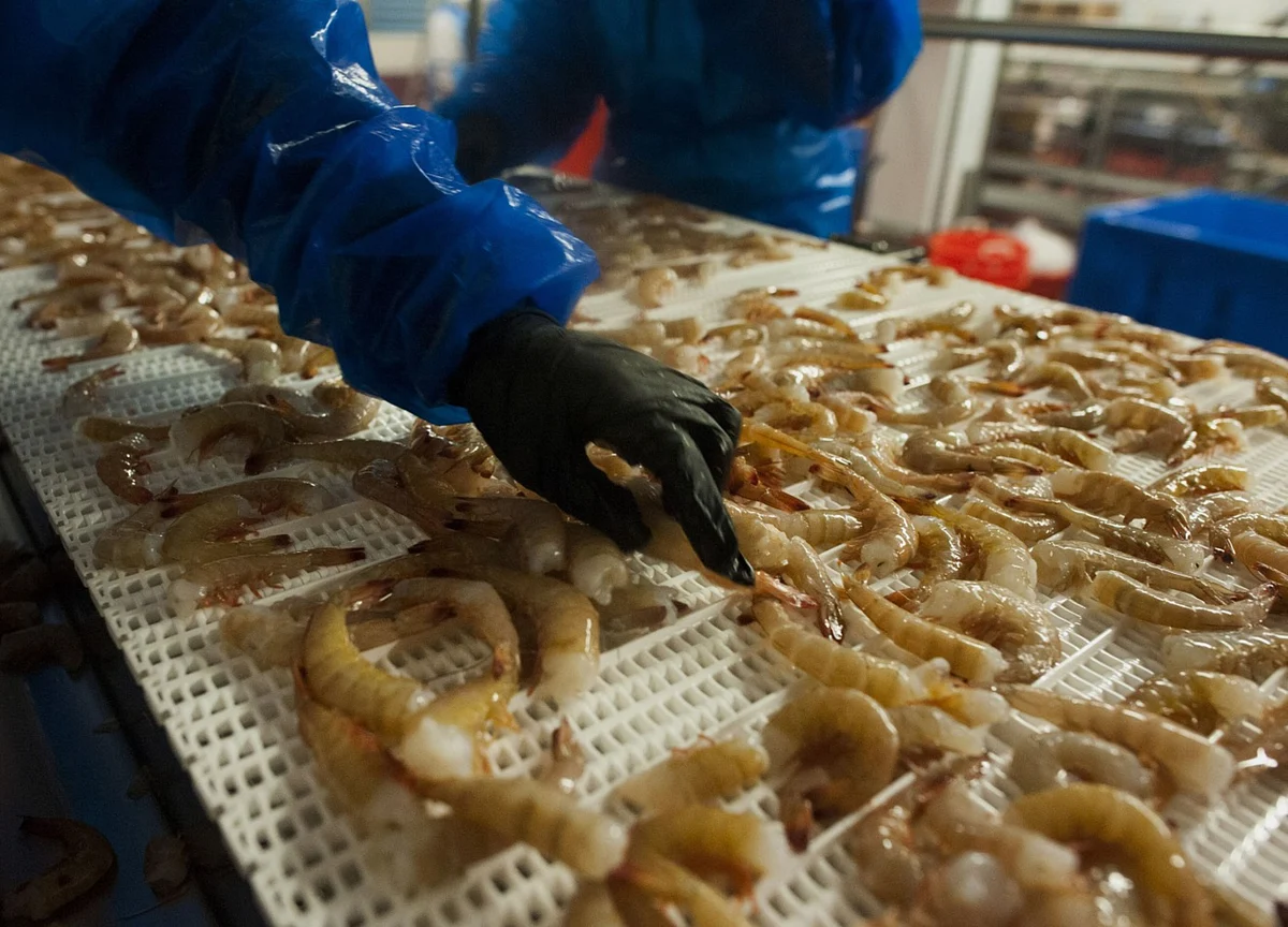 Apex Frozen Foods - Reopening Of Markets Provides A Positive Sign: Geojit