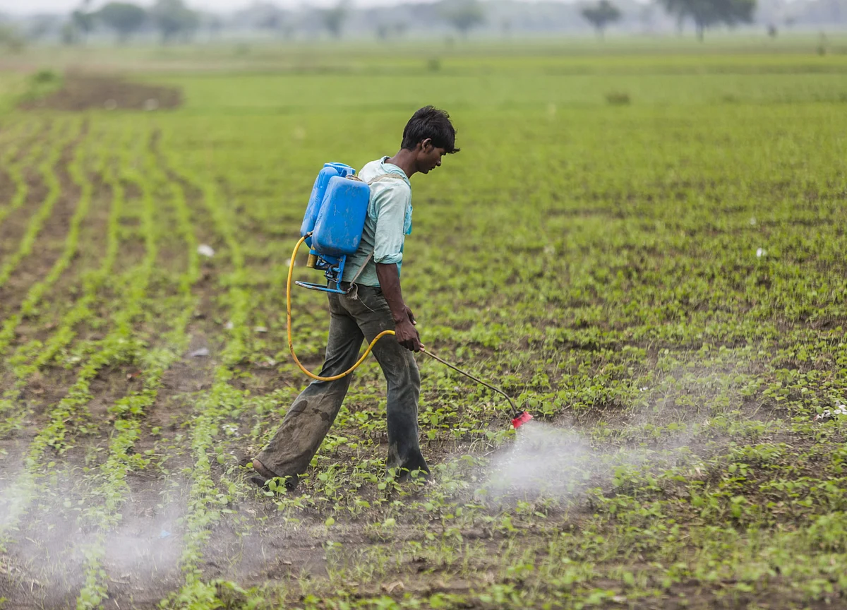 Agro Chemicals Q1 Earnings Preview - Sector Valuations Price In A Good Season: Prabhudas Lilladher