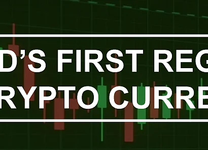 Why Every Investor Should Consider PNP Coin, The Less-Volatile, Regulated Cryptocurrency