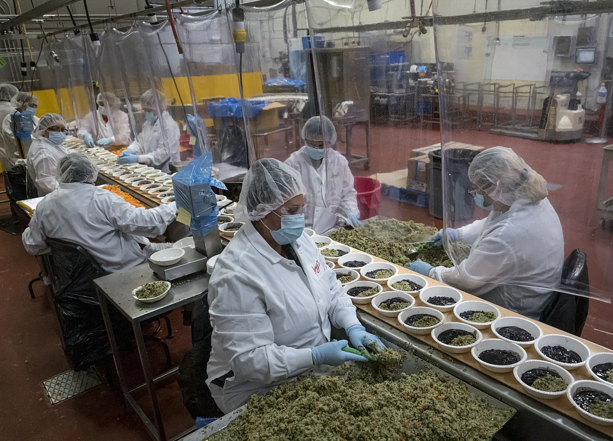 Producer Prices in U.S. Surge in June, Exceeding Forecasts