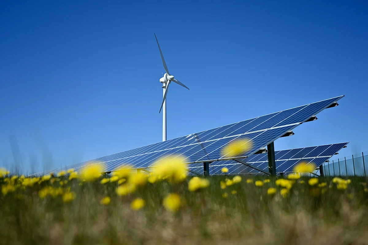 Trillion-Dollar ESG Boom Rings Bubble-Trouble Alarm in New Study