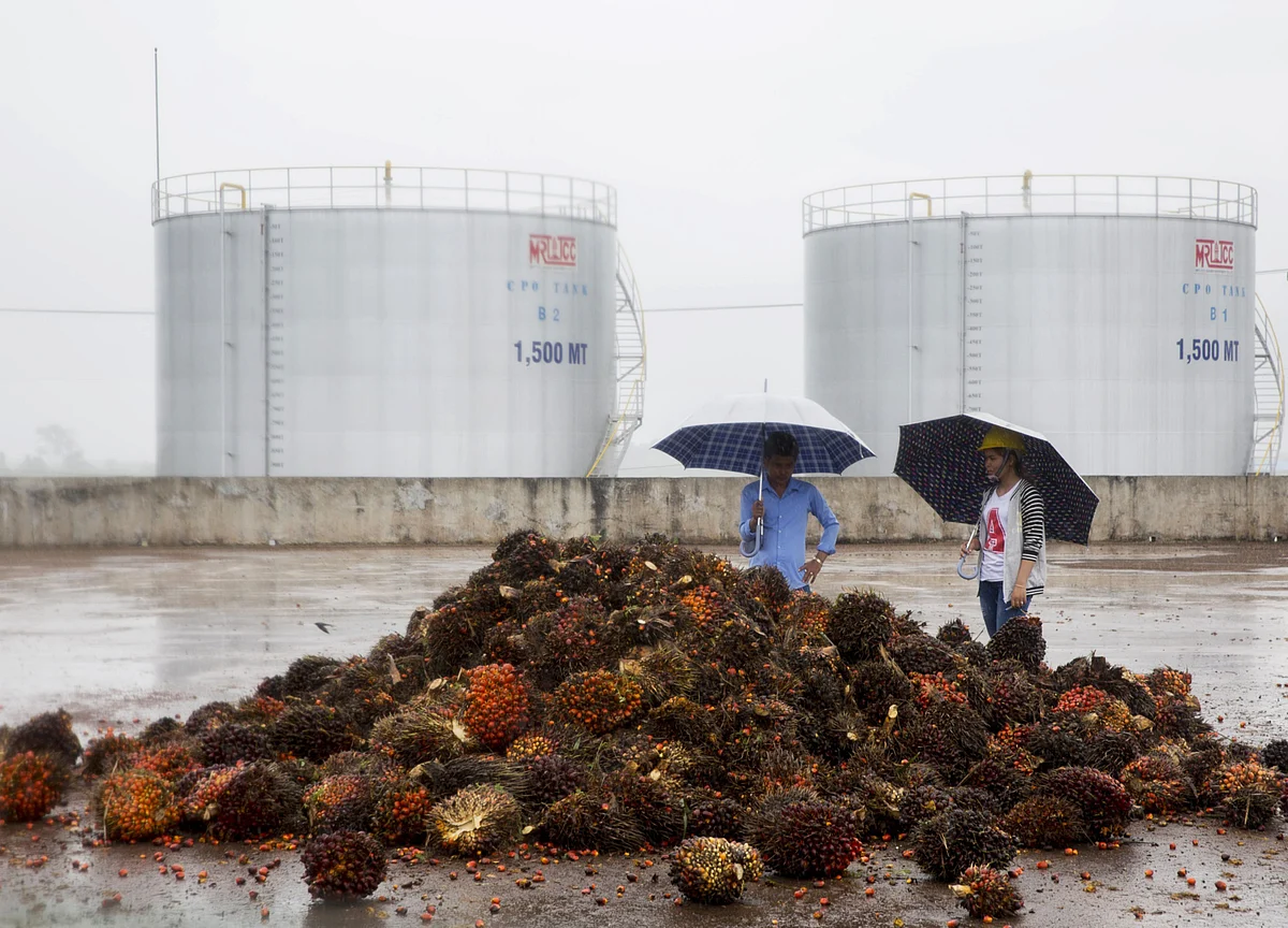 Patchy India Rain Set to Cheer Palm Traders 3,000 Miles Away