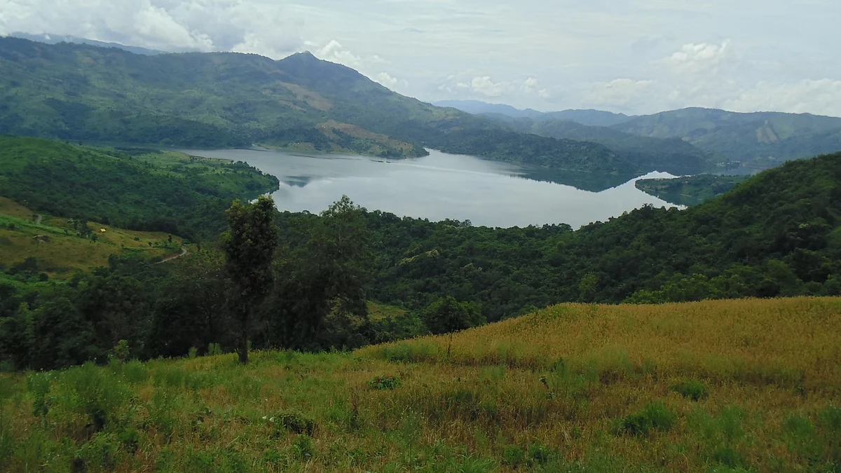 <div class="paragraphs"><p>The forests of Nagaland. The moisture rich slopes of North East India are seen as a destination for growing oil palm. (Photograph: Neha Sinha)</p></div>