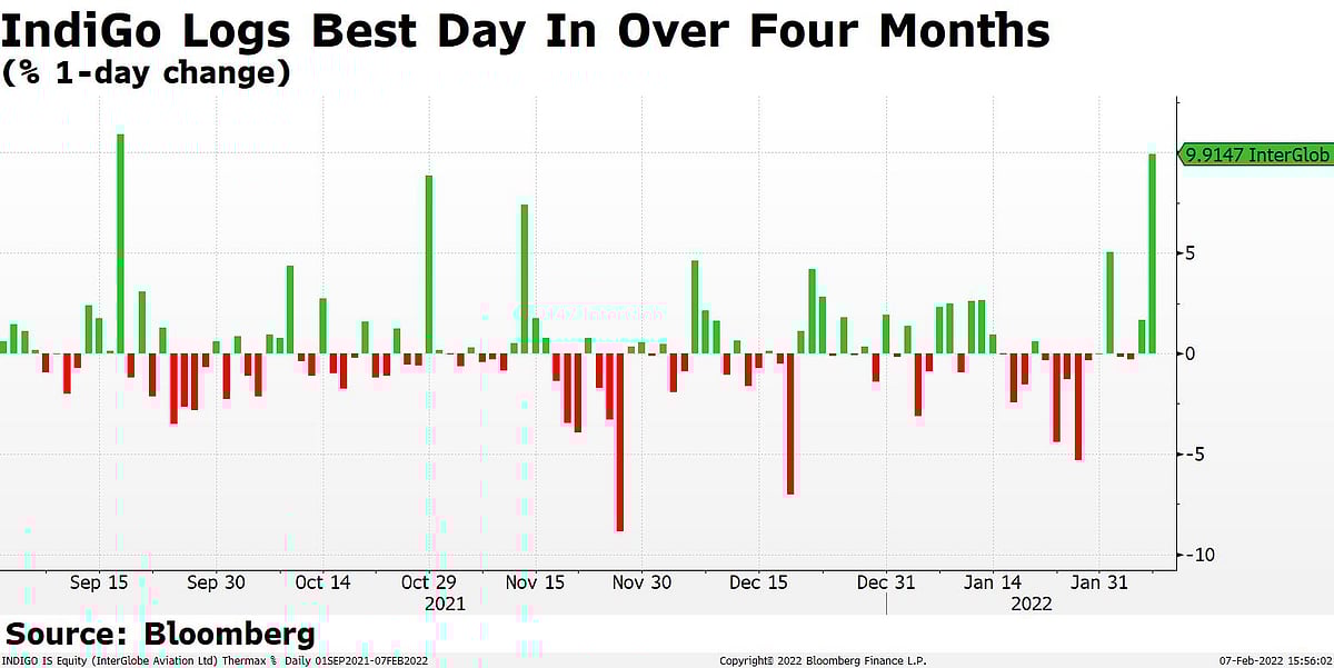 indigo additional bolsagage