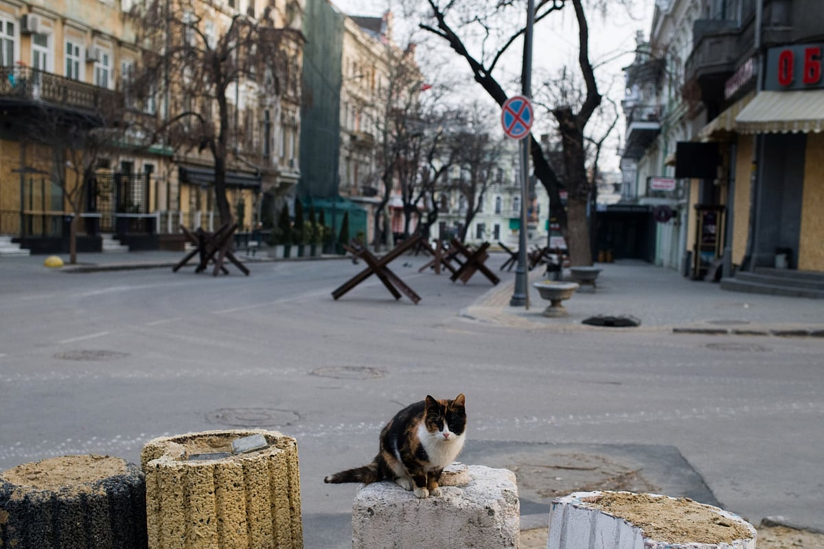 Ukraine Update: Biden Flags Cyberattacks, Says Putin 'Desperate' - Vimarsana News