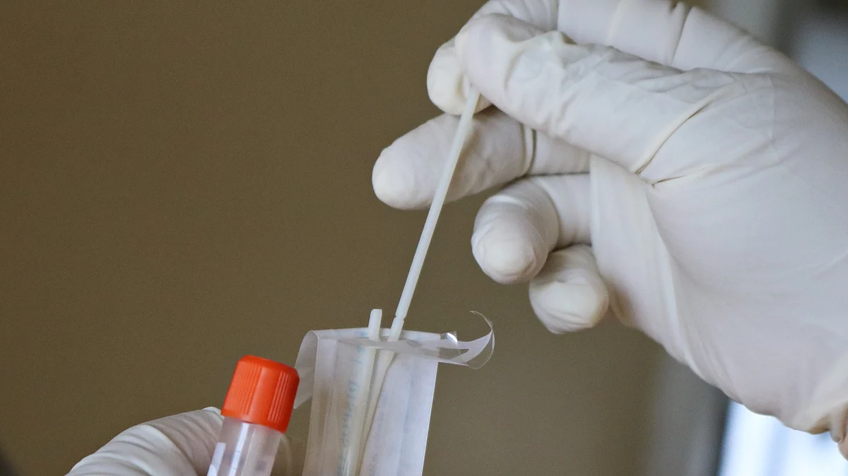 <div class="paragraphs"><p>A Covid-19 RT PCR test kit. (Source: Mufid Majnun/Unsplash)</p></div>