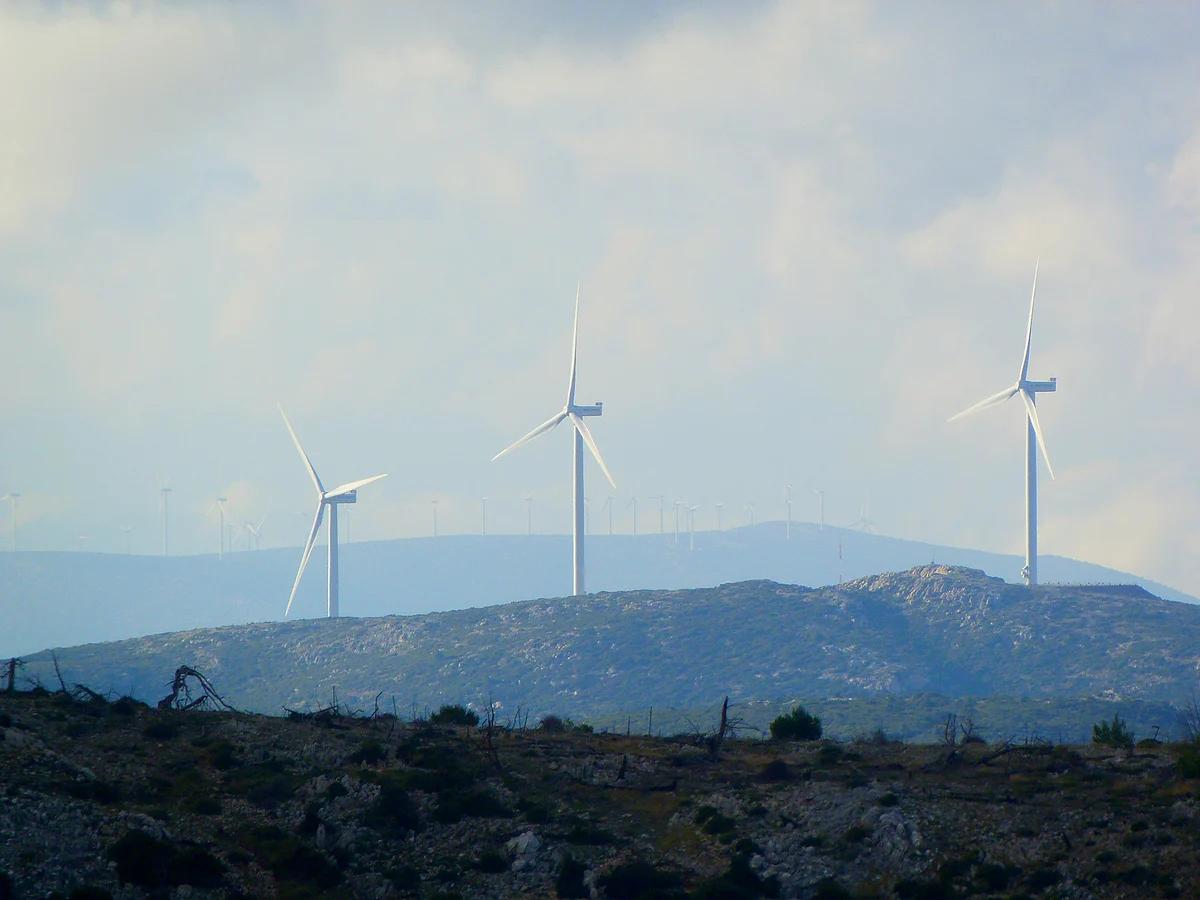 Millennials and Gen Z Are Fed Up with ESG