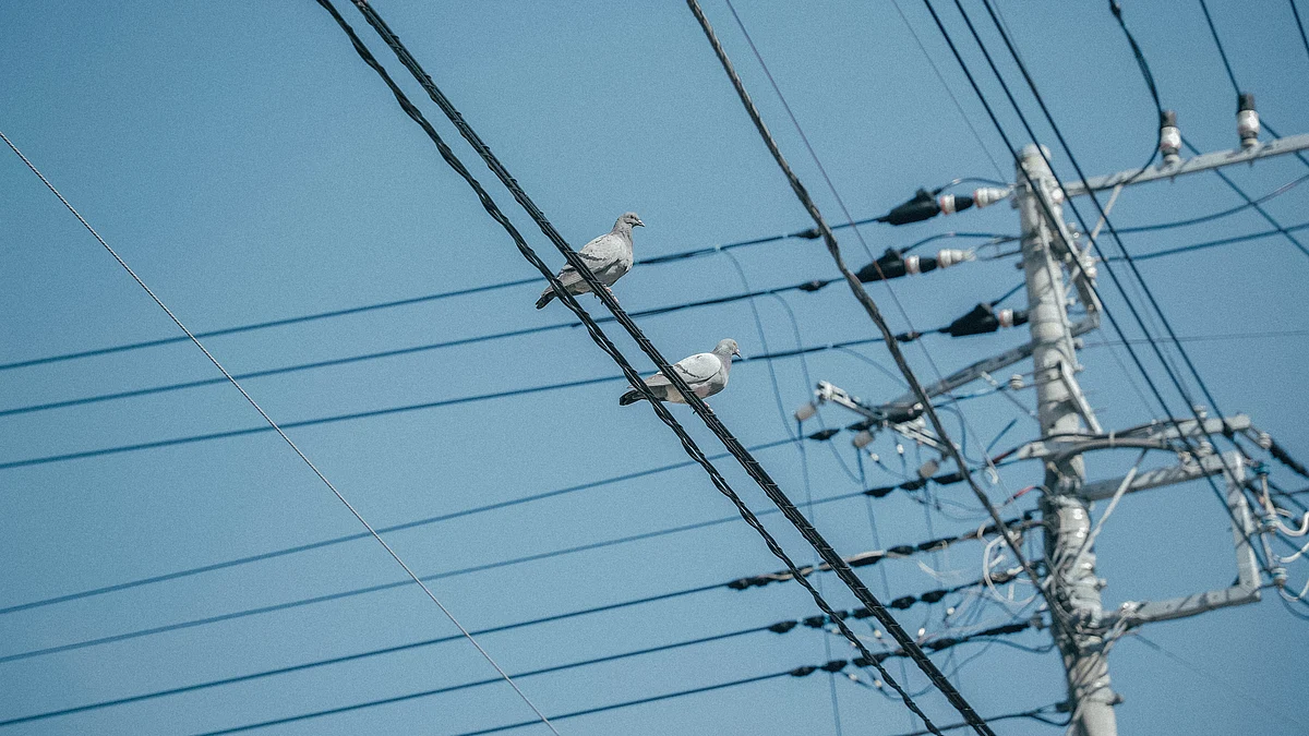 <div class="paragraphs"><p>Power lines. (Photo: Chris Yang/Unsplash)</p></div>