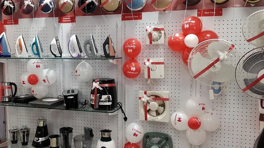 <div class="paragraphs"><p>A Havells India Ltd.'s online store. (Source: FB Page)</p></div>
