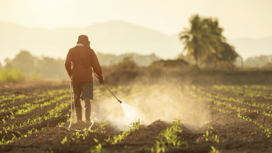 <div class="paragraphs"><p>A farmer spraying insecticide in his farm. (Source: Insecticides India Ltd.'s official website)</p></div>