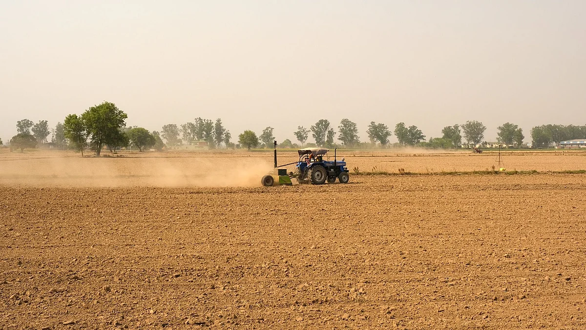 <div class="paragraphs"><p>A wheat farm in the Ludhiana district of Punjab, India.</p></div>