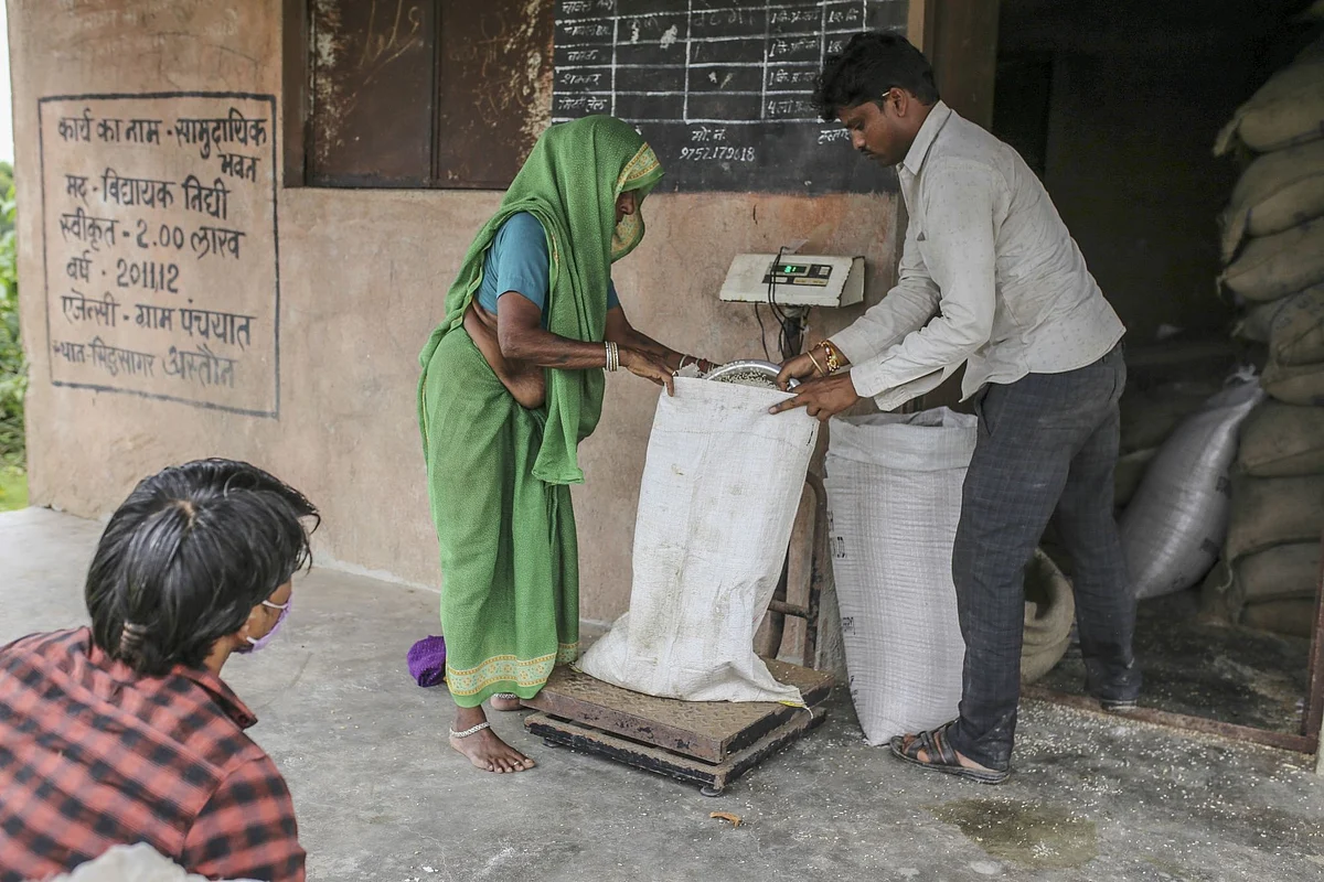 <div class="paragraphs"><p>A woman collects a subsidized ration of grain from a state-run distribution store in a village in Tikamgarh district, Madhya Pradesh.</p></div>