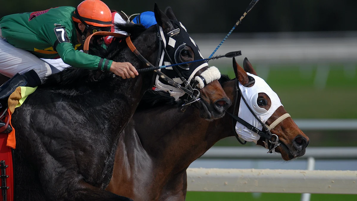 <div class="paragraphs"><p>Horse race. (Photo: Unsplash)</p></div>