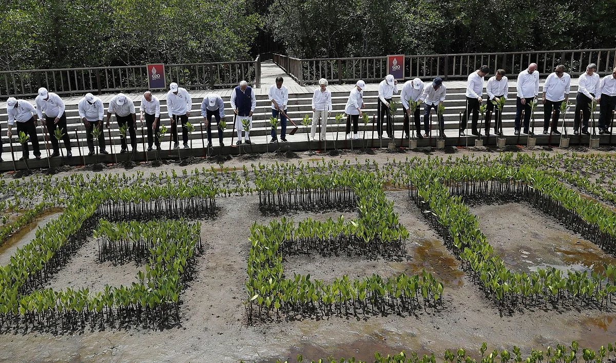 Leaders plant seedlings during a mangrove planting event at the Tahura Ngurah Rai Mangrove Forest Park as part of the G20 Leaders' Summit in Nusa Dua, Bali, on Nov. 16 Photographer: Mast Irham/AFP/Getty Images