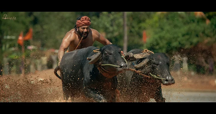 <div class="paragraphs"><p>A screengrab from the official trailer of Kantara. </p></div>