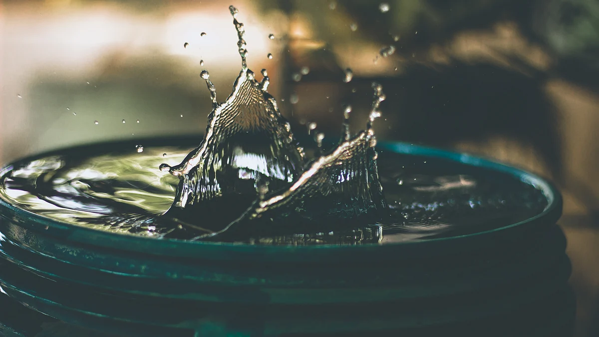 <div class="paragraphs"><p>(Source: <a href="https://unsplash.com/@da_sikka_x?utm_source=unsplash&utm_medium=referral&utm_content=creditCopyText">Amritanshu Sikdar</a> on <a href="https://unsplash.com/s/photos/water-conservation?utm_source=unsplash&utm_medium=referral&utm_content=creditCopyText">Unsplash</a>)</p></div>