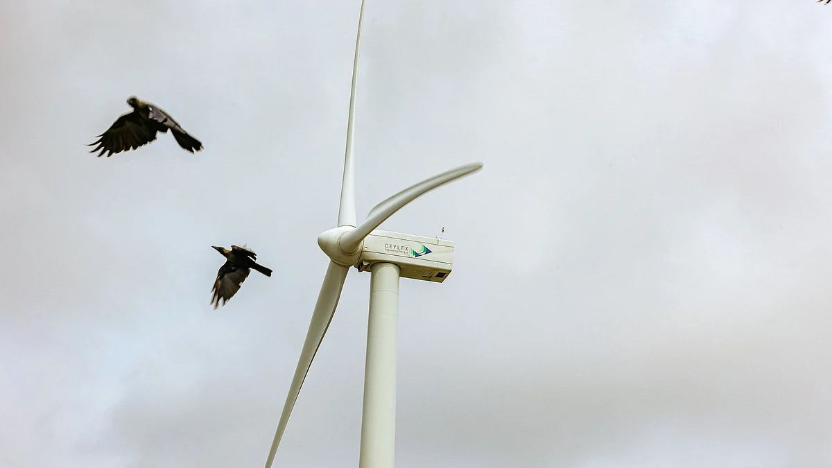 A wind turbine in Jaffna district, Sri Lanka, on Monday, Oct. 24, 2022. Northern Sri Lanka, an impoverished, remote area within striking distance of India’s southern tip is where Gautam Adani -- the Indian billionaire who is Asia’s richest man plans to build renewable power plants, thrusting him into the heart of an international political clash. Photographer: Jonathan Wijayaratne/Bloomberg