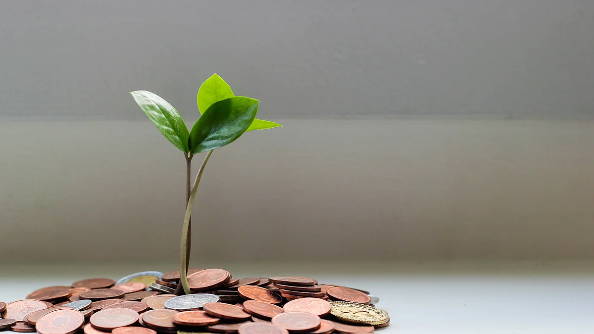 <div class="paragraphs"><p>(Source: <a href="https://unsplash.com/@micheile?utm_source=unsplash&utm_medium=referral&utm_content=creditCopyText">micheile dot com</a> on <a href="https://unsplash.com/s/photos/coins?utm_source=unsplash&utm_medium=referral&utm_content=creditCopyText">Unsplash</a>)</p></div>