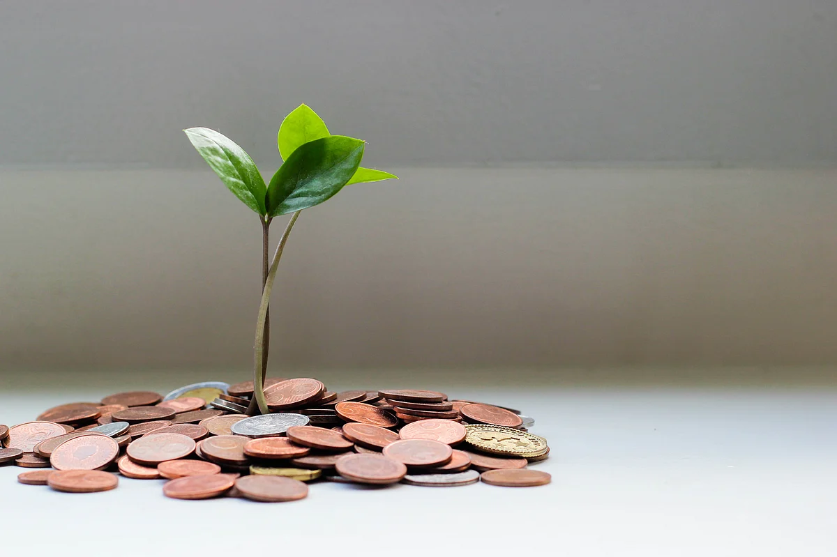 <div class="paragraphs"><p>(Source: <a href="https://unsplash.com/@micheile?utm_source=unsplash&utm_medium=referral&utm_content=creditCopyText">micheile dot com</a>/ <a href="https://unsplash.com/images/things/money?utm_source=unsplash&utm_medium=referral&utm_content=creditCopyText">Unsplash</a>)</p></div>