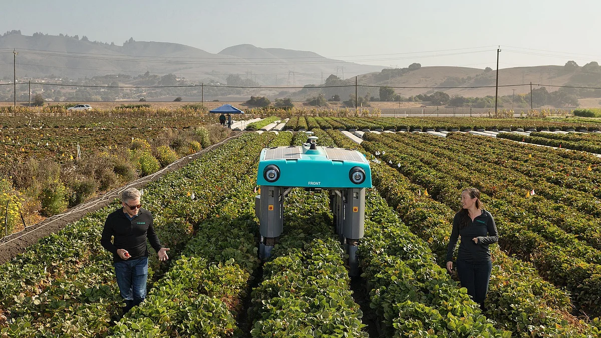 A Mineral rover in a Driscoll’s strawberry field outside Watsonville, California.