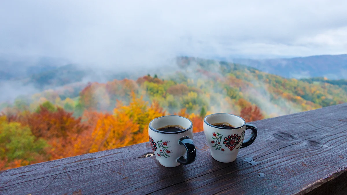 <div class="paragraphs"><p>(Source: <a href="https://unsplash.com/@imac666?utm_source=unsplash&utm_medium=referral&utm_content=creditCopyText">Maciek Sulkowski</a> on <a href="https://unsplash.com/images/food/coffee?utm_source=unsplash&utm_medium=referral&utm_content=creditCopyText">Unsplash</a>)</p></div>