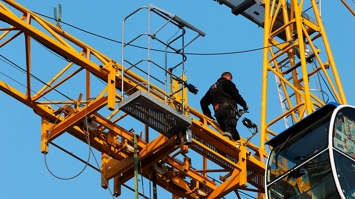 <div class="paragraphs"><p>Crane. (Photo: freepik)</p></div>