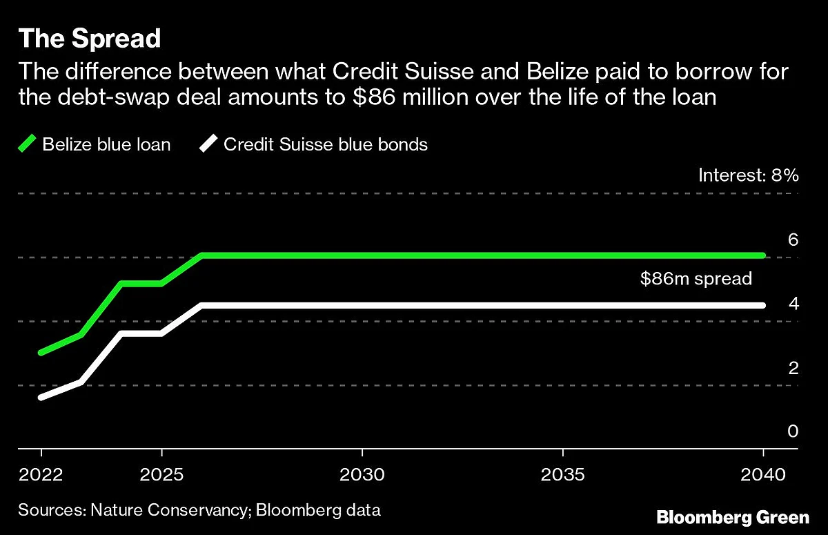 Wall Street's New ESG Money-Maker Promises Nature Conservation — With a Catch