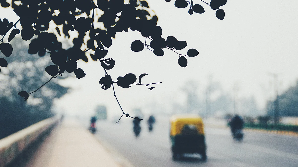 <div class="paragraphs"><p>(Source: Hans Vivek/Unsplash)</p></div>