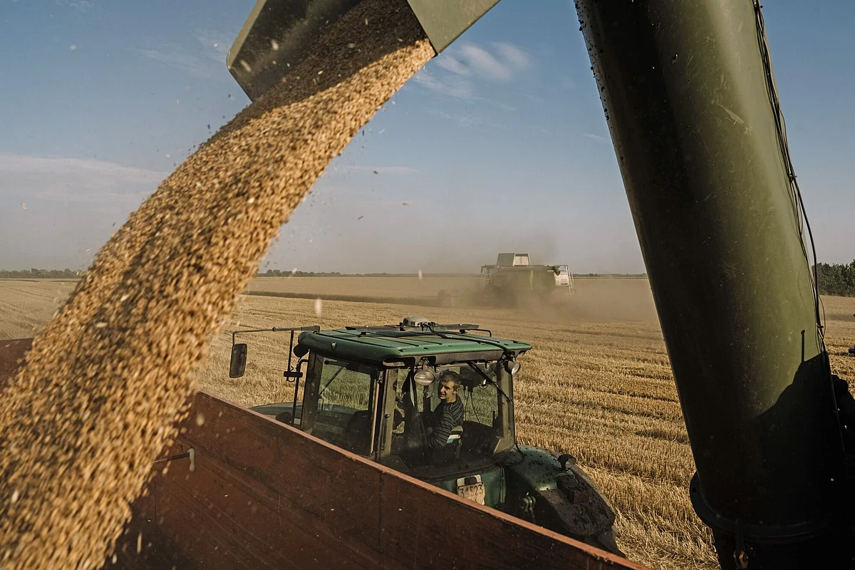 Erdogan Urges G20 To Meet Russian Demands On Grain Deal