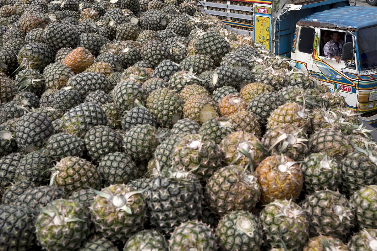 This Philippine Pineapple Factory Will Be Powered By...Pineapples