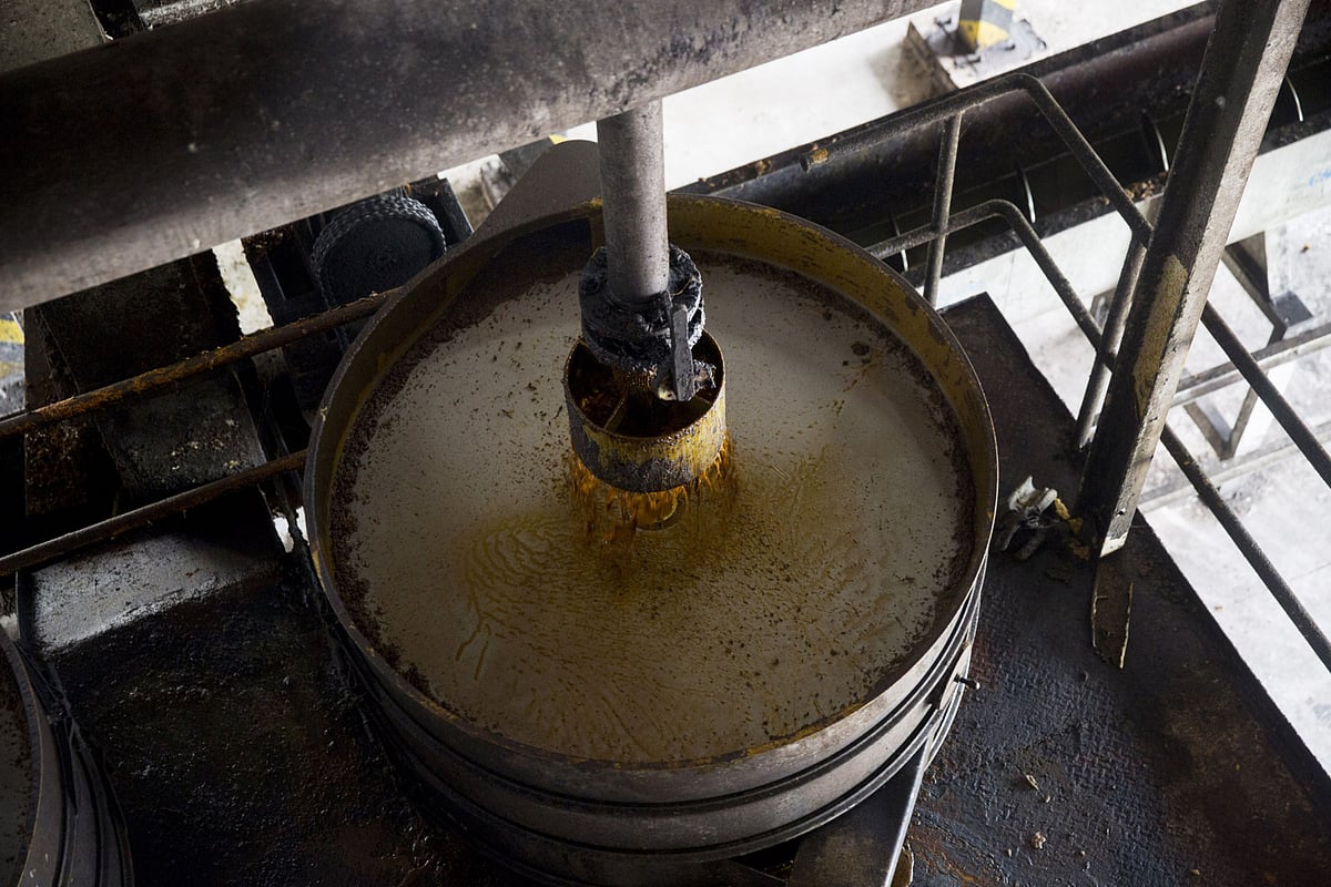 Palm Oil Output Hit by Double Whammy of Floods and Scarce Labor