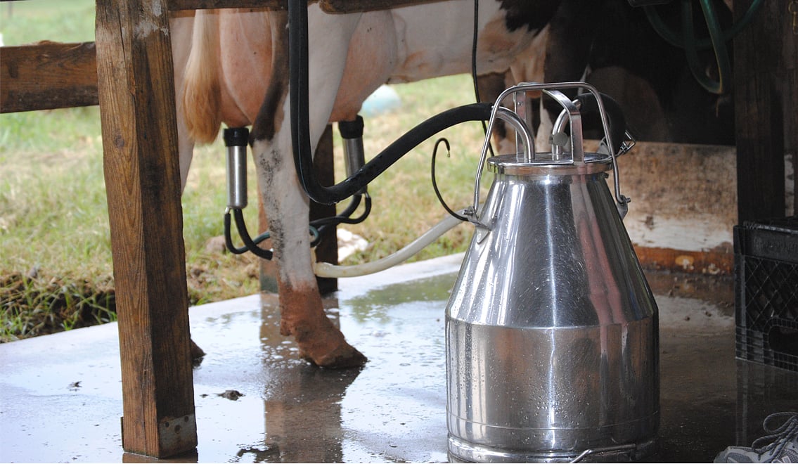 Dairy Sector – Negligible Correlation Between Milk Production And Monsoon Deficiency Says ICICI Securities