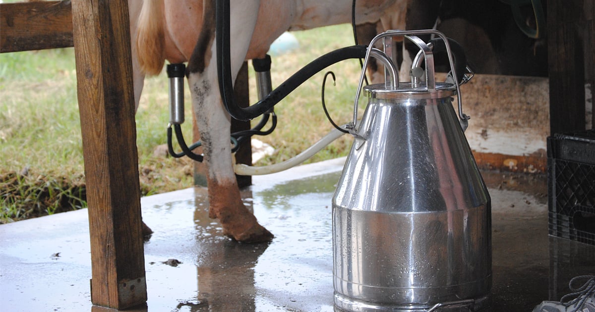 Dairy Sector – Negligible Correlation Between Milk Production And Monsoon Deficiency Says ICICI Securities Dairy Sector – Negligible Correlation Between Milk Production And Monsoon Deficiency Says ICICI Securities
